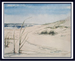 Summer Beach an 11x14 beach painting